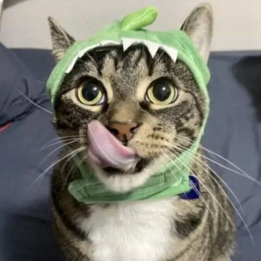 Small Cat Dog Pet Hat Dinosaur Halloween Costume One Size Headpiece New Green